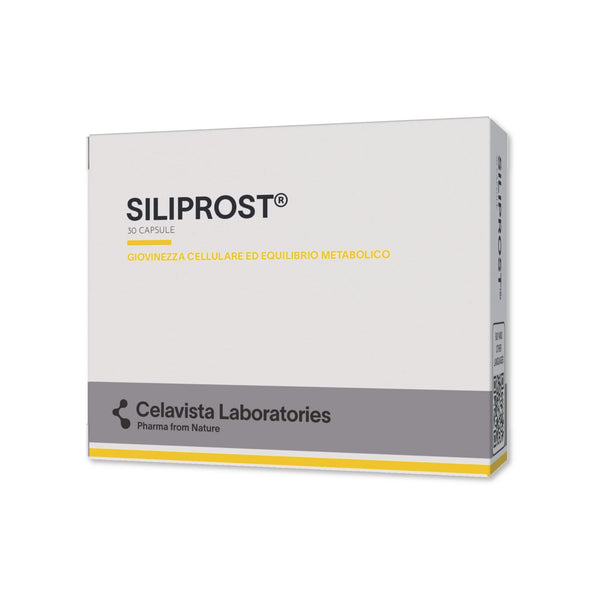 Siliprost