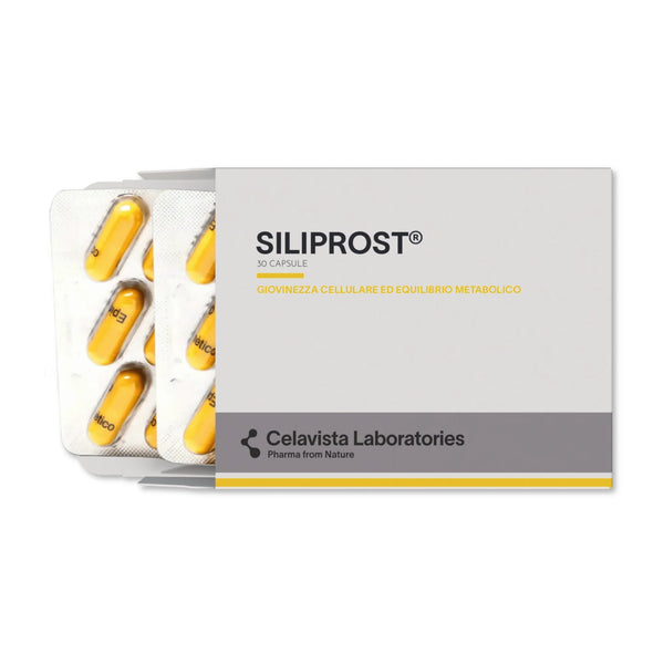 Siliprost