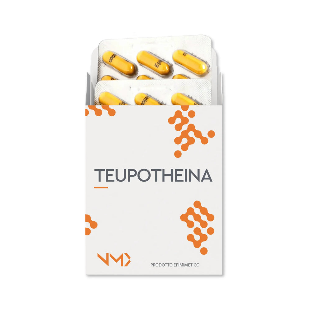 Teupotheina - 2