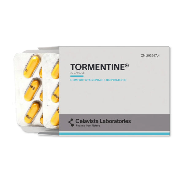 Tormentine
